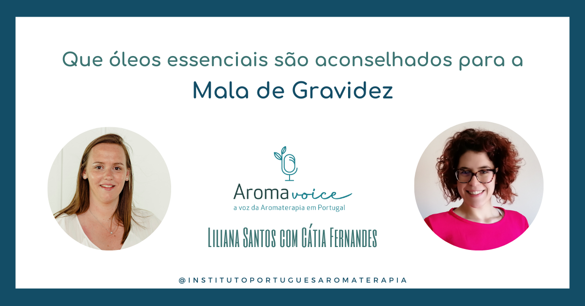 AromaVoice - Episódio 3